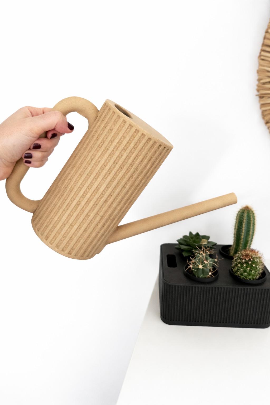 The watering can in use, watering a black ribbed planter with succulents and cacti