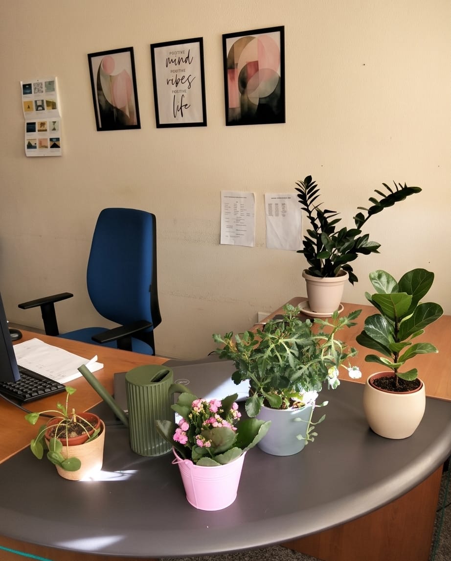 Green Teknospace watering can among plants in a customer workspace